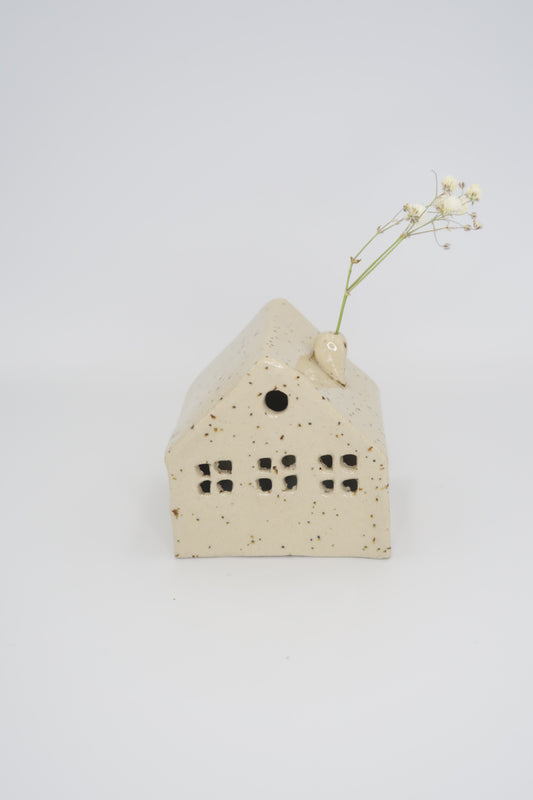 Lighted house with dried flower hole